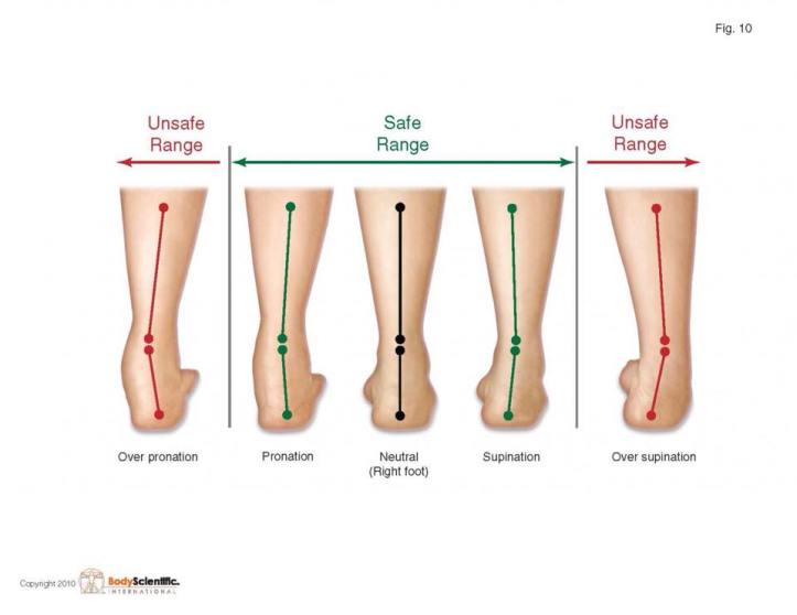 10414885_10205069176550139_91370231152095181_n